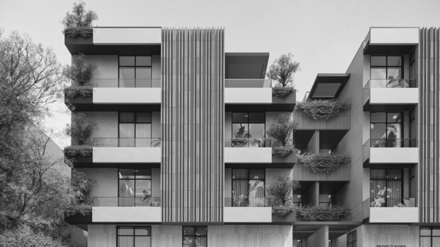 النرجس، الرياض (5)